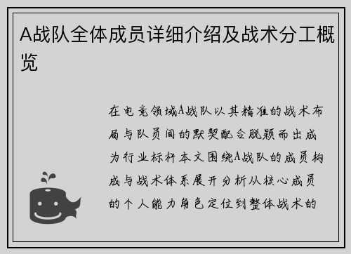 A战队全体成员详细介绍及战术分工概览